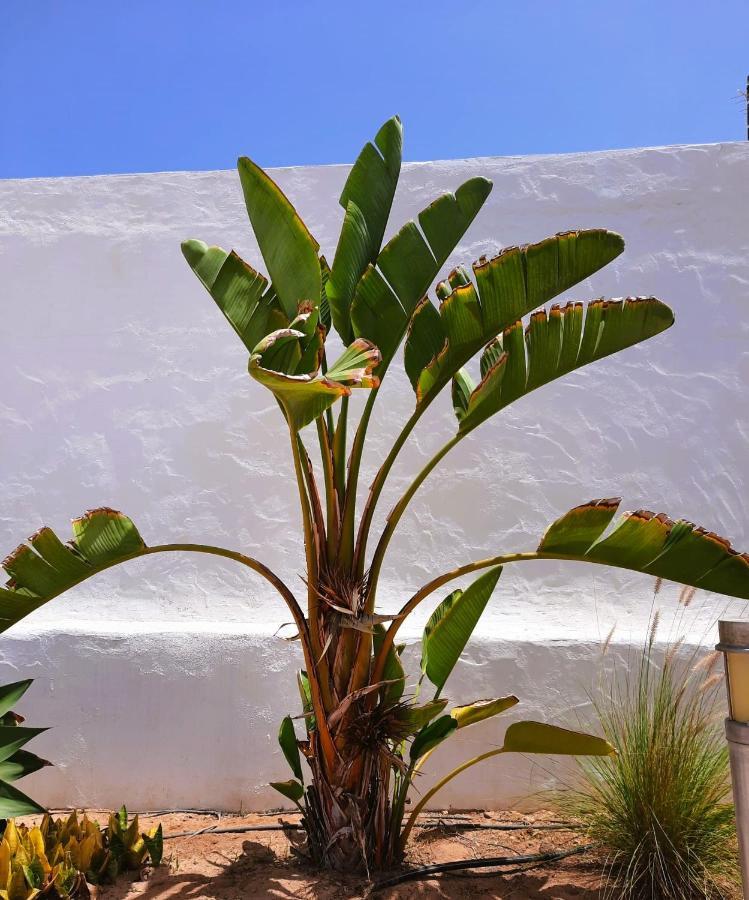 Casa Vivi Fuerteventura Διαμέρισμα Κοραλέχο Εξωτερικό φωτογραφία